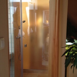 sklenené sprchové dvere z matného skla na otočných pántoch