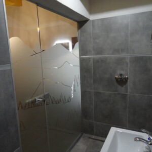 sklenená stena s otočnými dverami so vzorovaného skla