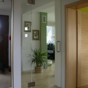 sklenená stena s otočnými dverami z číreho skla