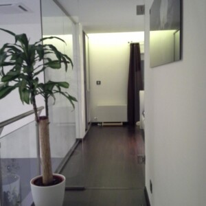 sklenená stena s otočnými dverami z číreho skla