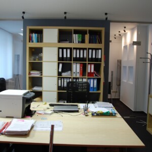 sklenená stena s otočnými dverami z číreho skla