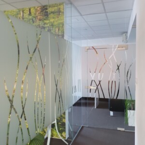 sklenená stena s otočnými dverami so vzorovaného skla